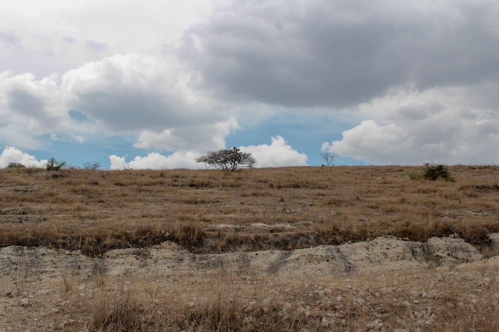 Photograph by JORGE DORANTES