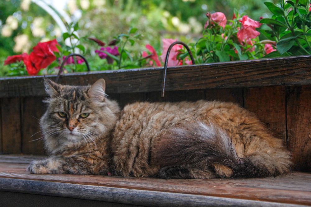 Фотография автора Наталия Мащенко