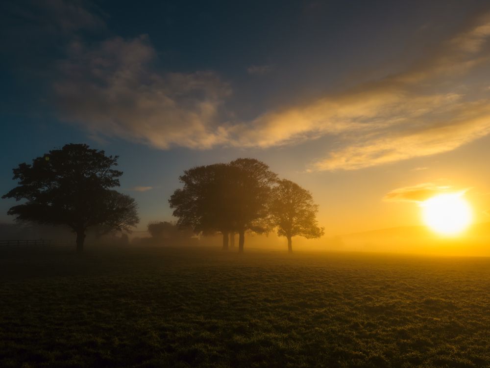 In the gentle caress of foggy sunrise