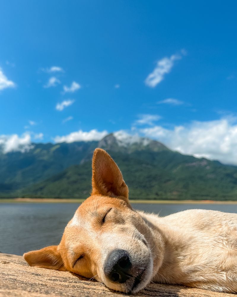 A silent language that speaks volumes