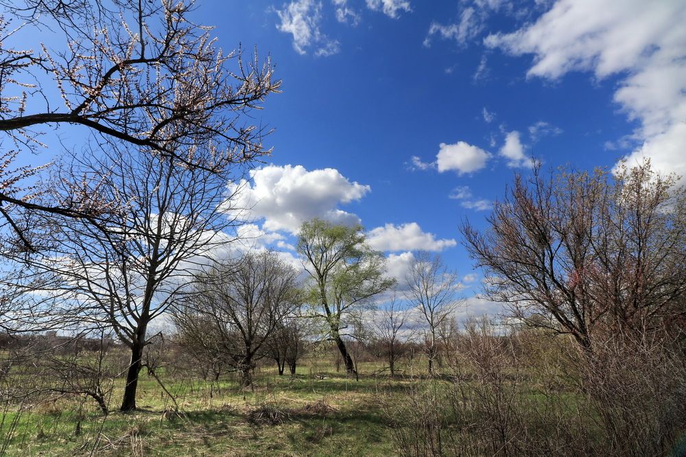 Photograph by Владимир Подкуйко