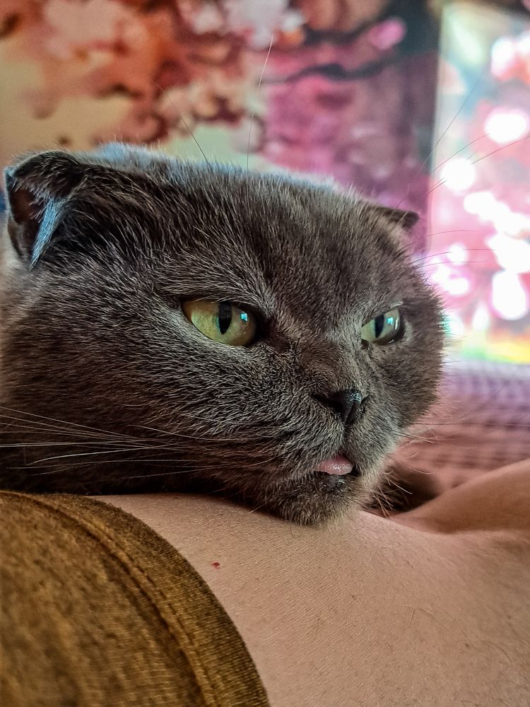 Photograph by Виктор Сёмушкин