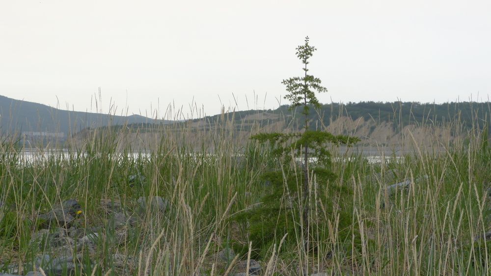 Photograph by Максим Владимирович
