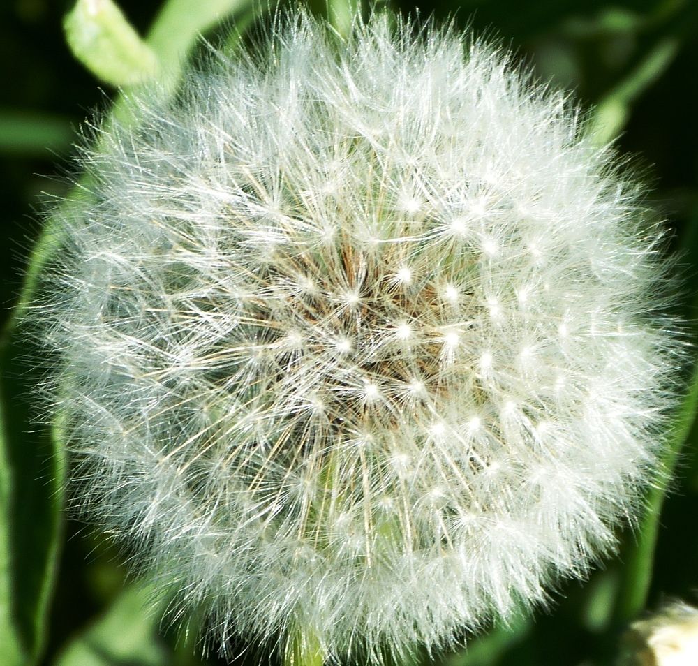 Photograph by Максим Владимирович