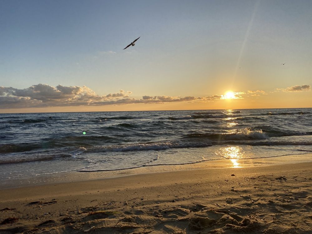 Photograph by Виктория Куликова