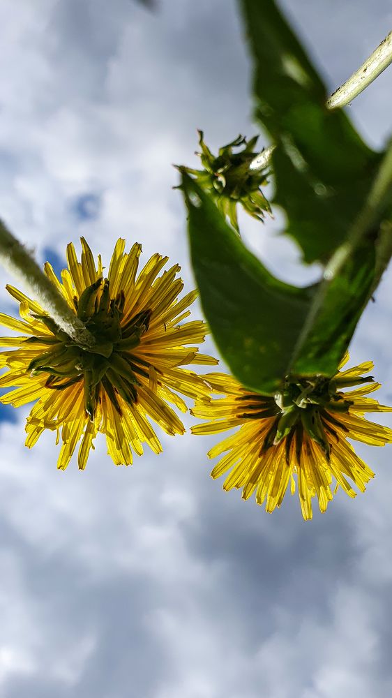 Photograph by Дарья Целуйко