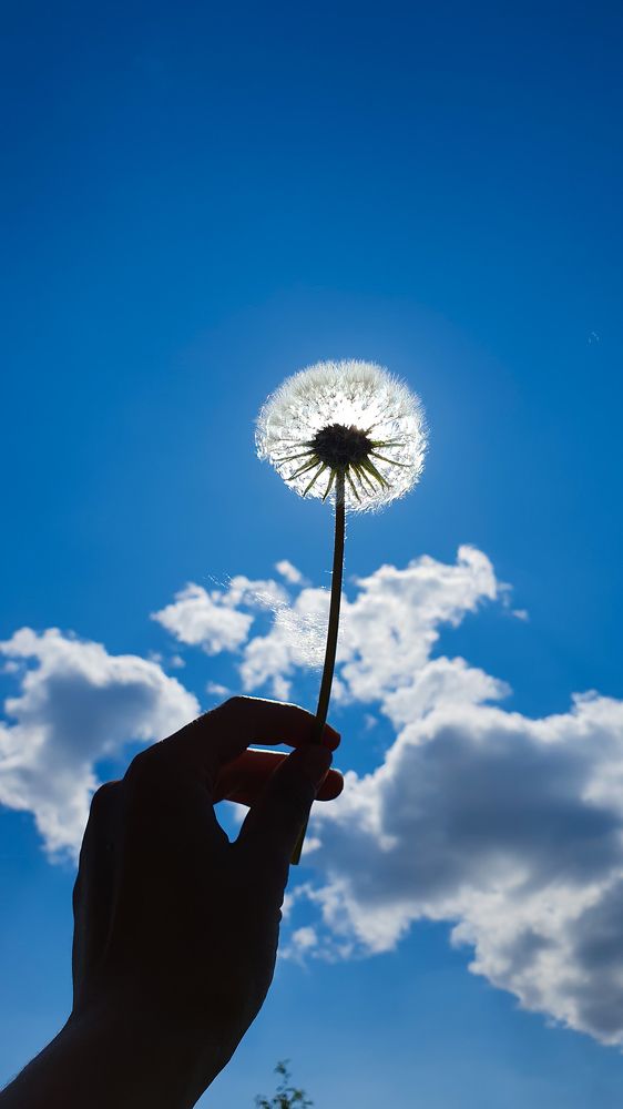 Photograph by Дарья Целуйко