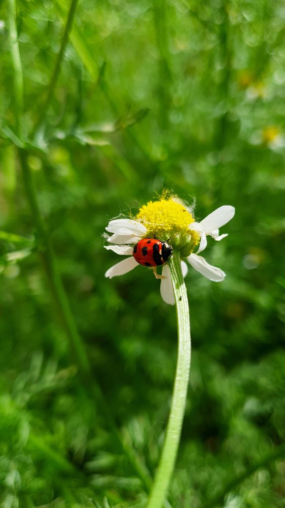 Photograph by Дарья Целуйко