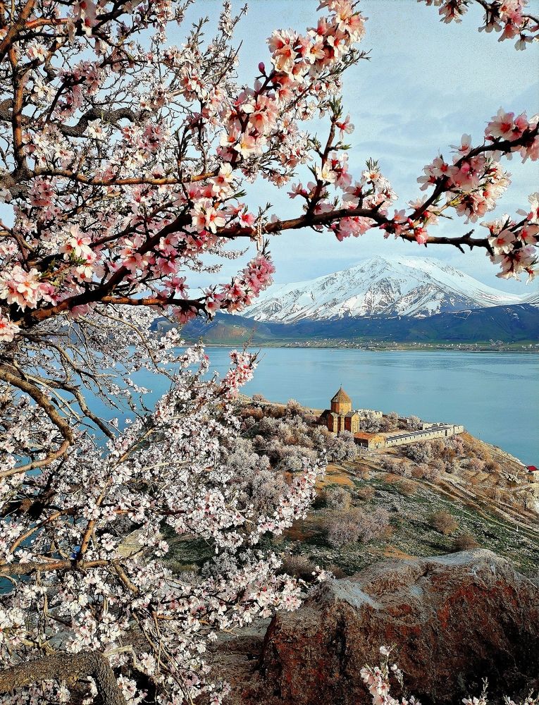 Фотография автора Ali VARILCI