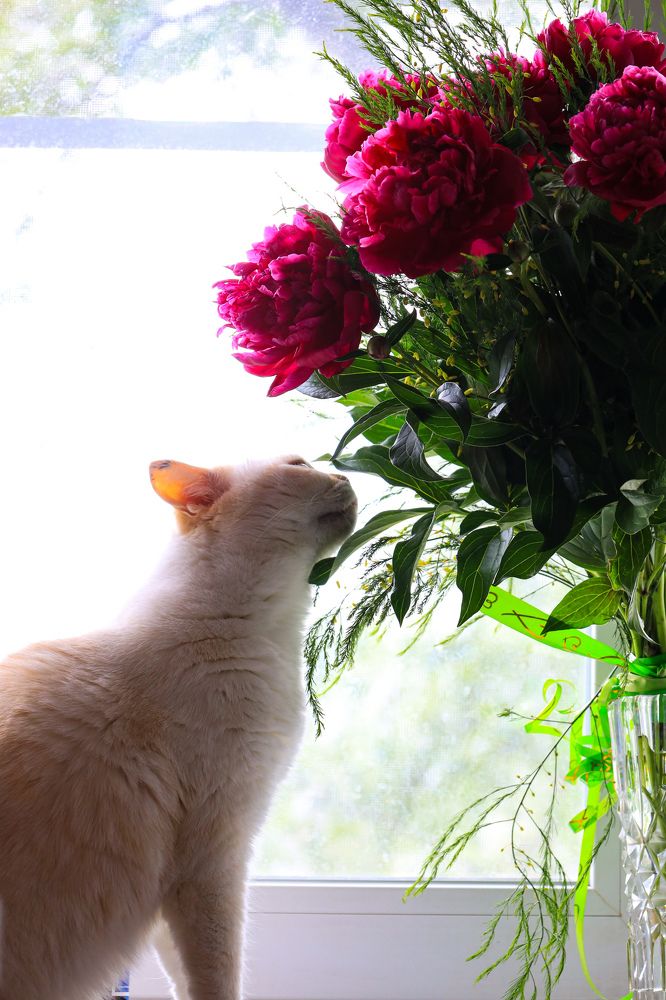 Photograph by Дарья Целуйко