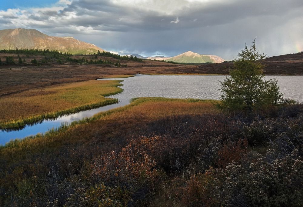 Photograph by Александр Попов