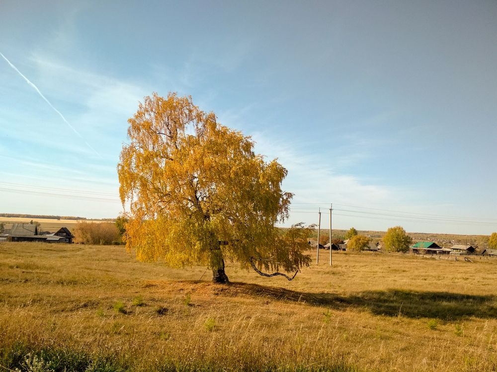 Photograph by Ирина Немкина