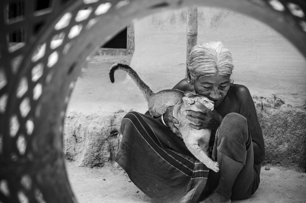 Photograph by Ayman Nakib