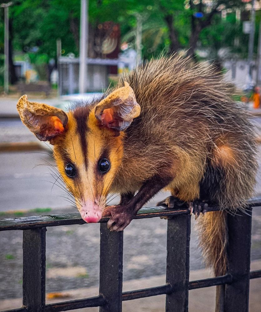 Photograph by Walfrido Alexandre