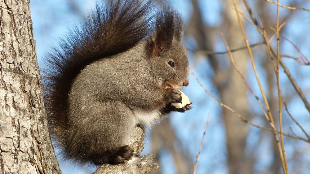 Photograph by Максим Владимирович