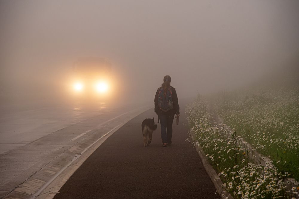 Photograph by Дарымов Владимир