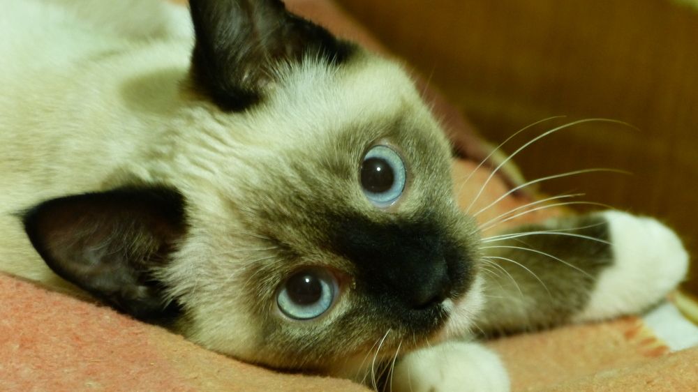 Photograph by Максим Владимирович