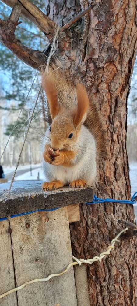 Photograph by Наталья Королева