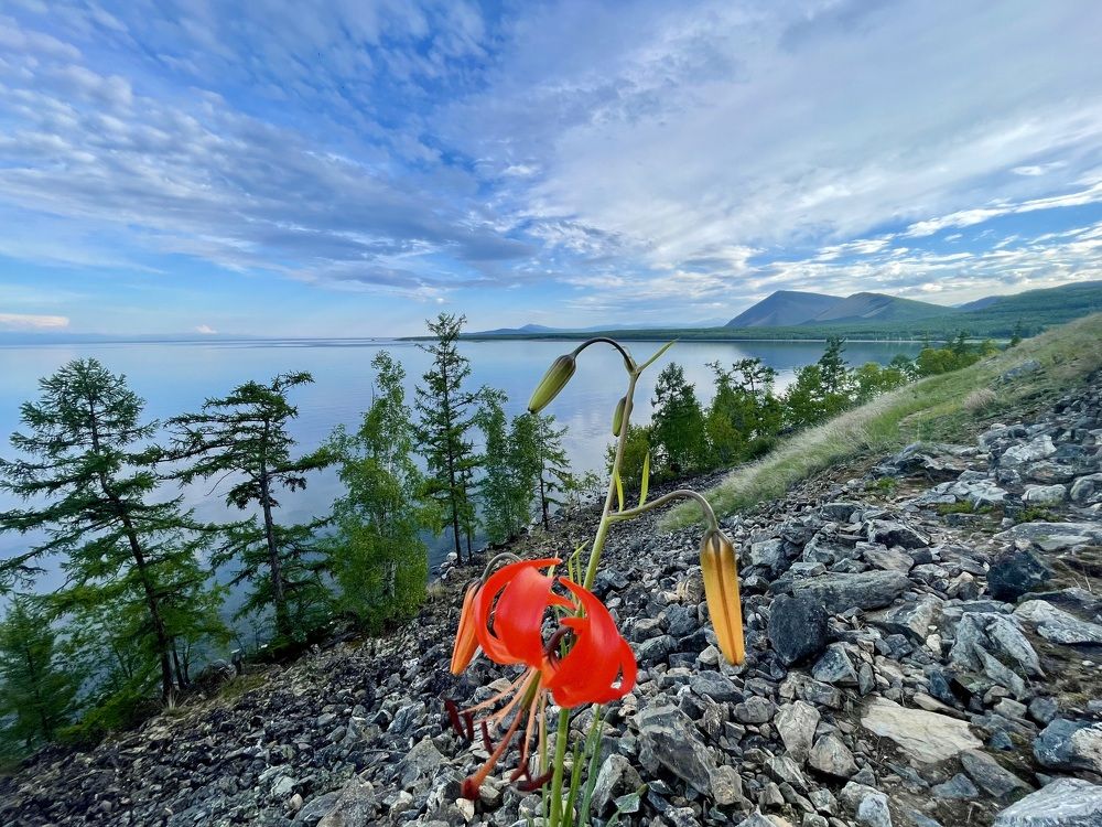 Photograph by Михаил Назаров