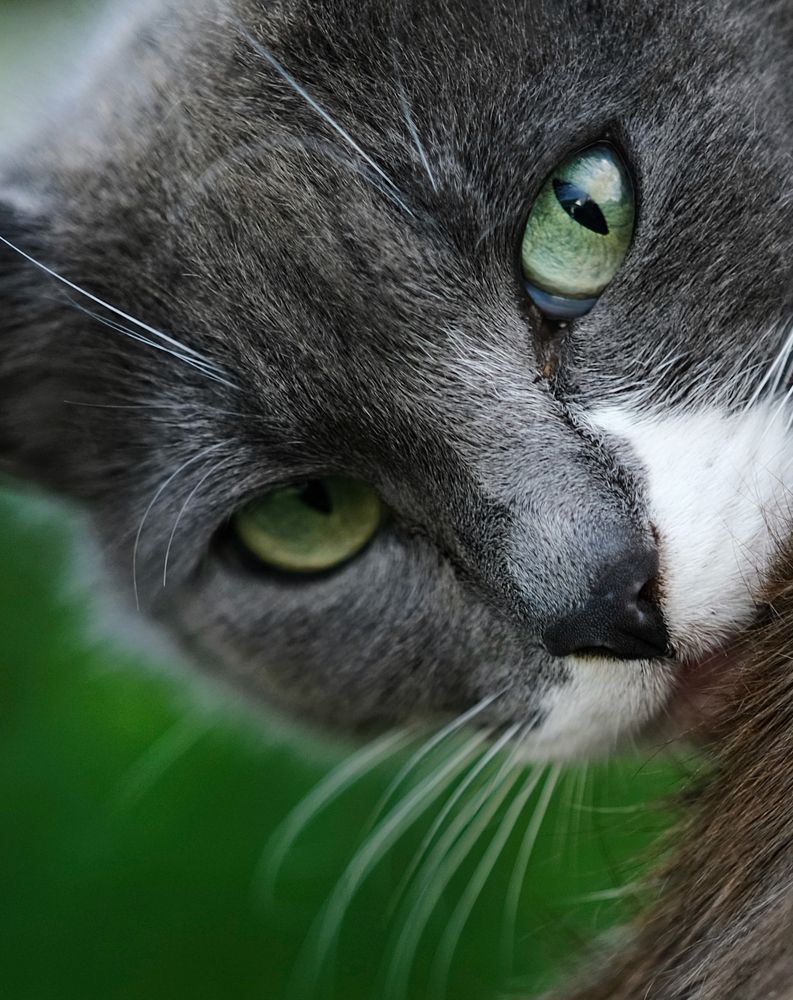 Photograph by Евгения/303284