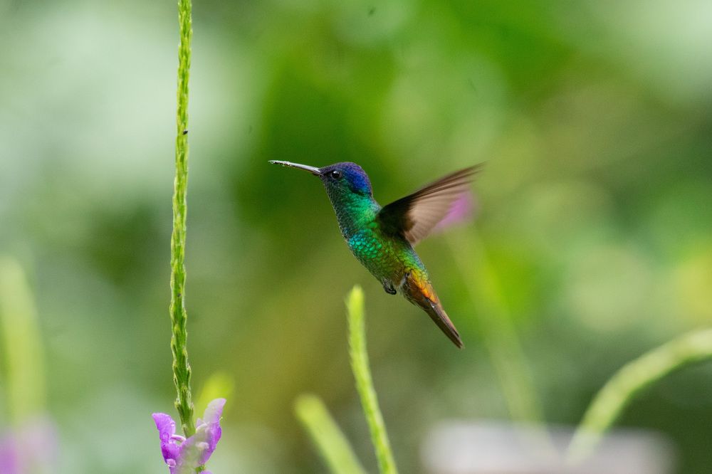 Photograph by Edut Flores Huaman