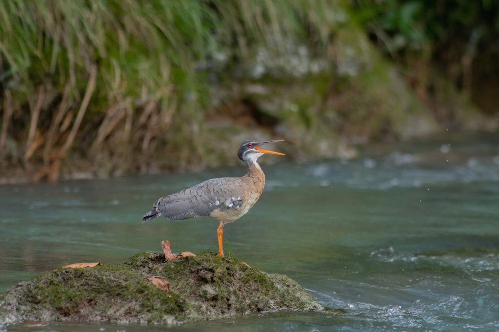 Photograph by Edut Flores Huaman