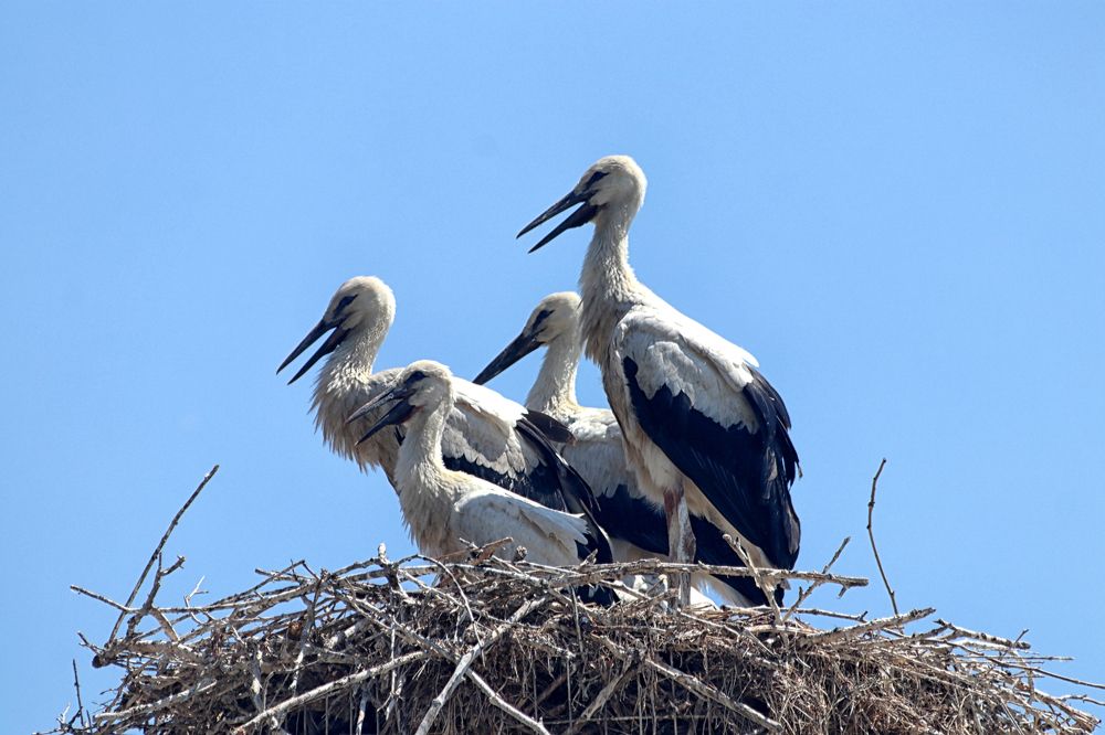 Photograph by Drora Baharal