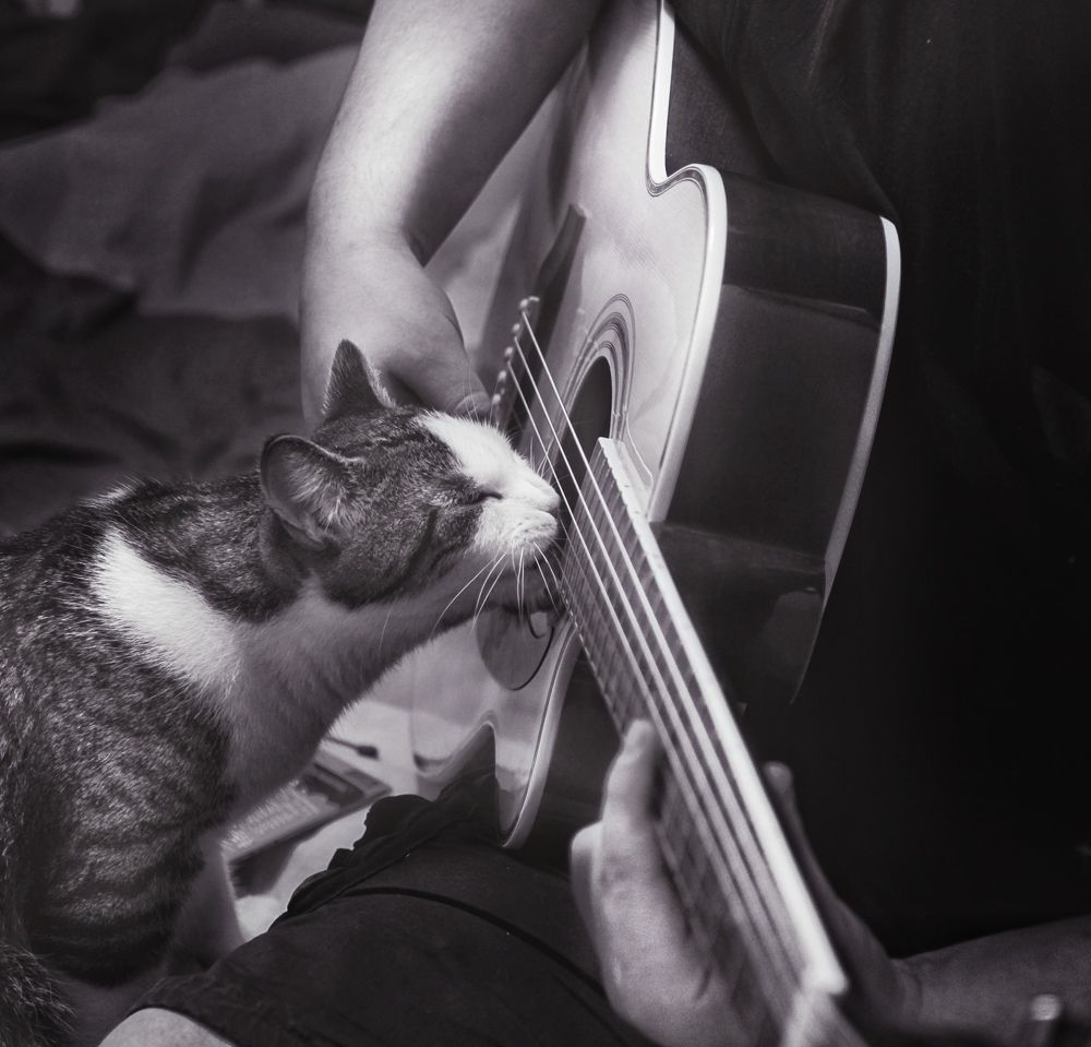 Фотография автора Татьяна Даль