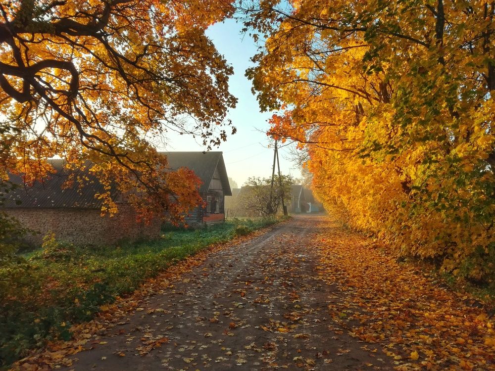 Photograph by Roman Dmitriev