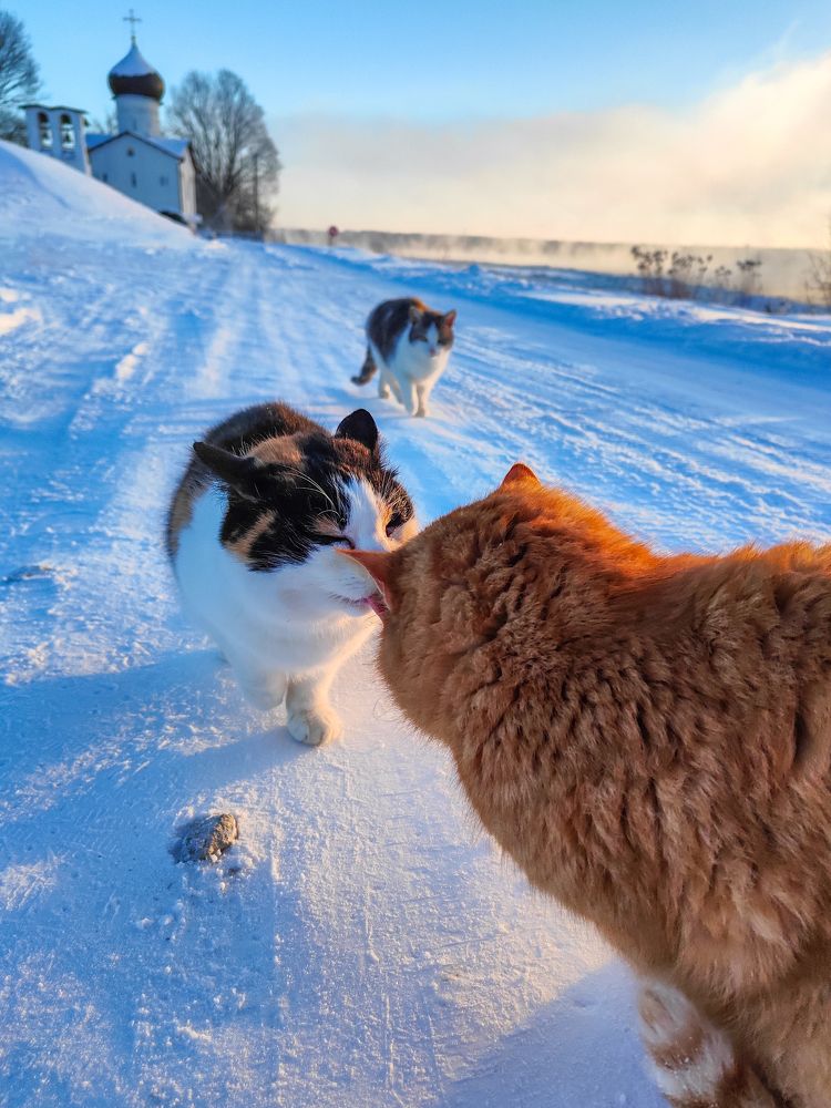 Photograph by Roman Dmitriev