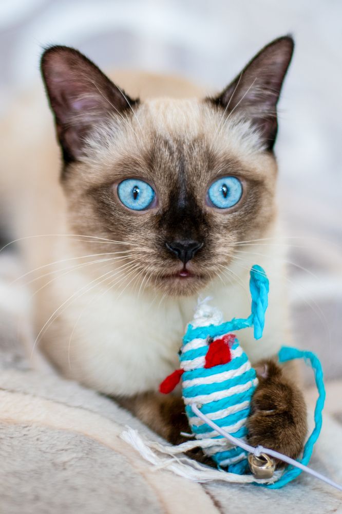 Photograph by Александр Ефисько