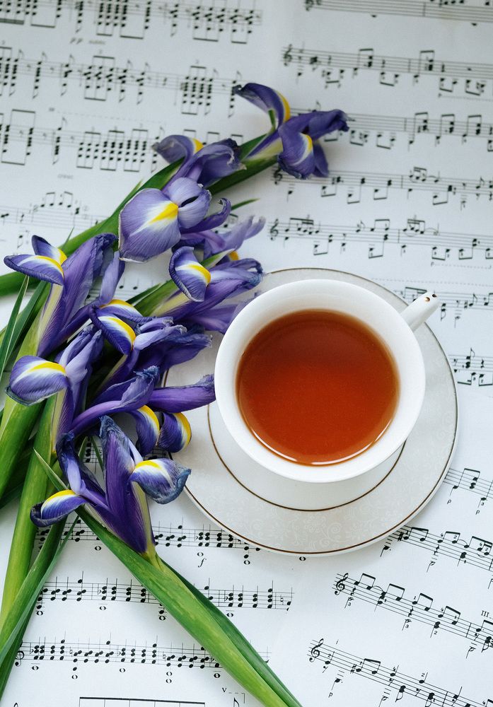 Photograph by Екатерина Одинцова