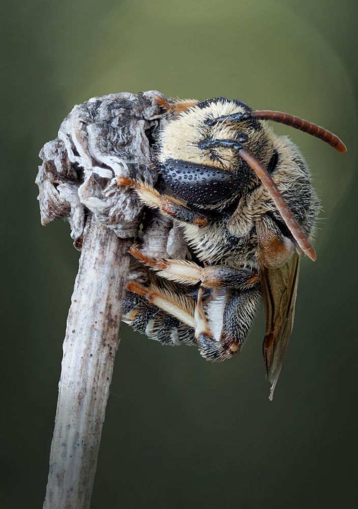 Фотография автора Андрей Жила