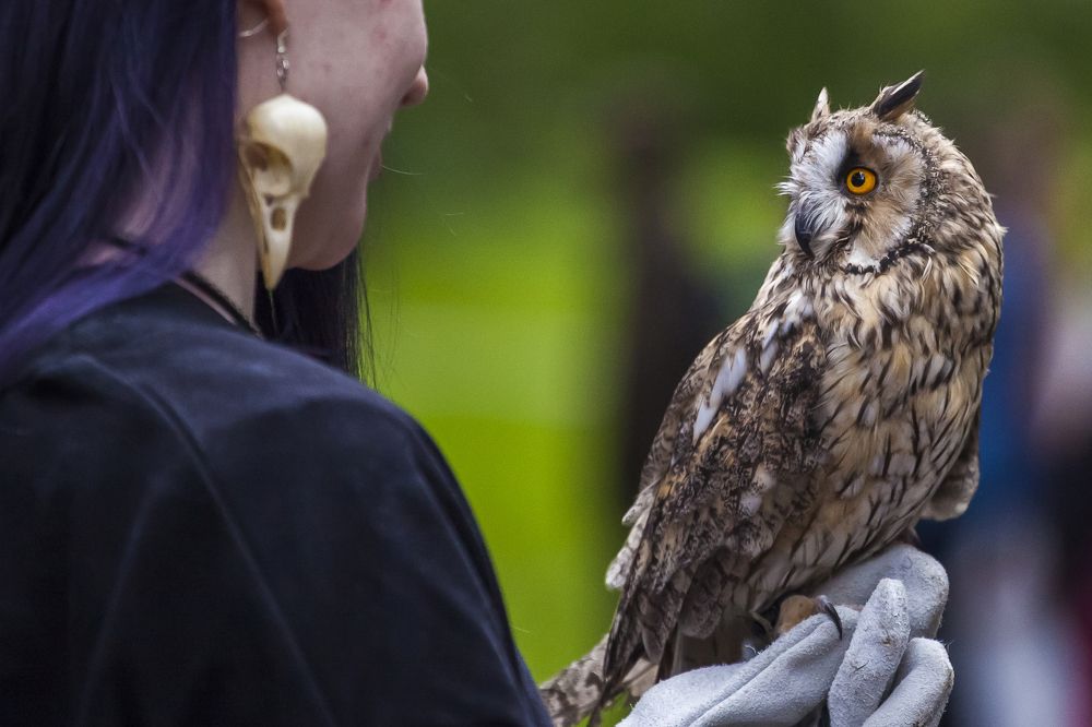 Photograph by Ирина Кузькина