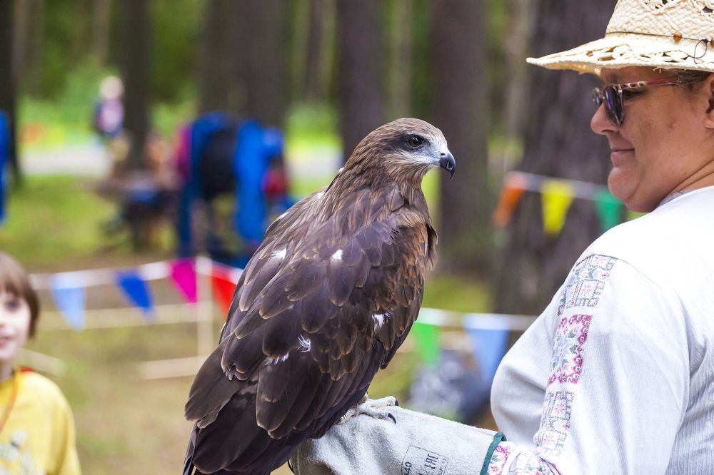 Photograph by Ирина Кузькина