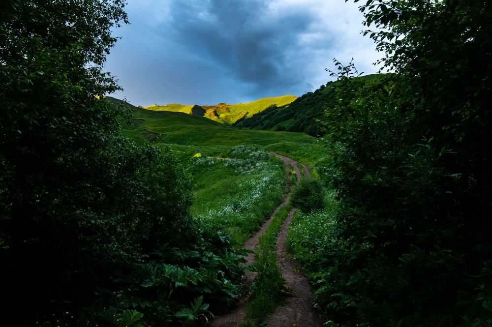 Photograph by Рамзан Давлетмирзаев