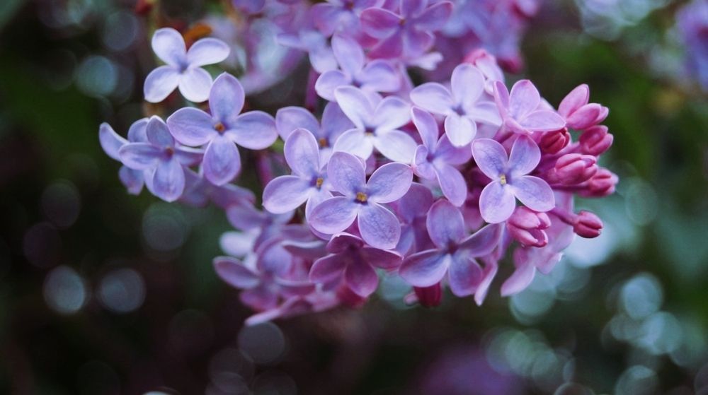 Photograph by Даниил Коскин