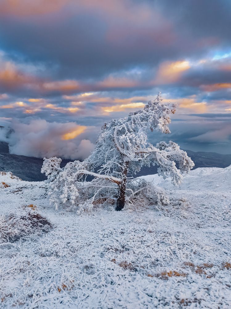 Photograph by Кривцов Андрей
