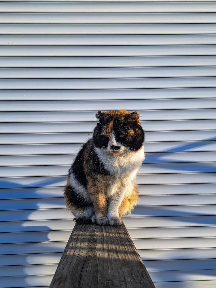 Photograph by Виктор Сёмушкин