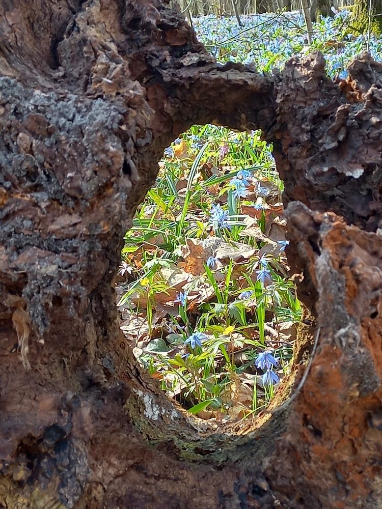 Photograph by Людмила Сотникова