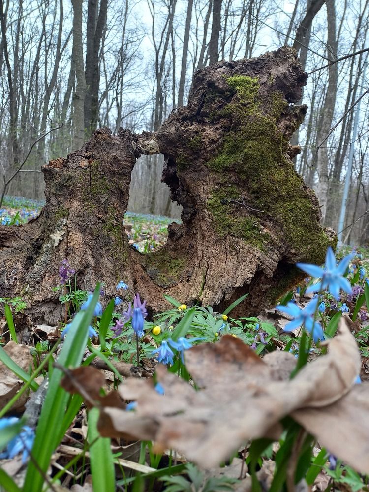 Photograph by Людмила Сотникова