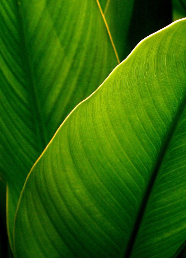 Фотография автора HR ABADEHI