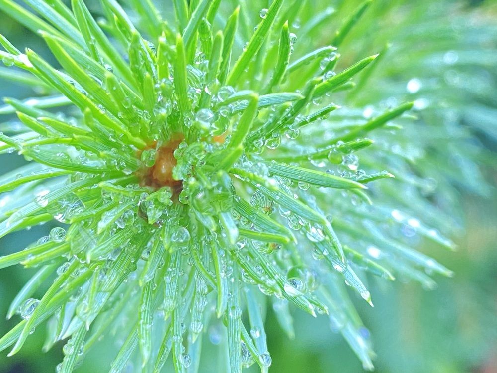 Photograph by Ольга Шабалина