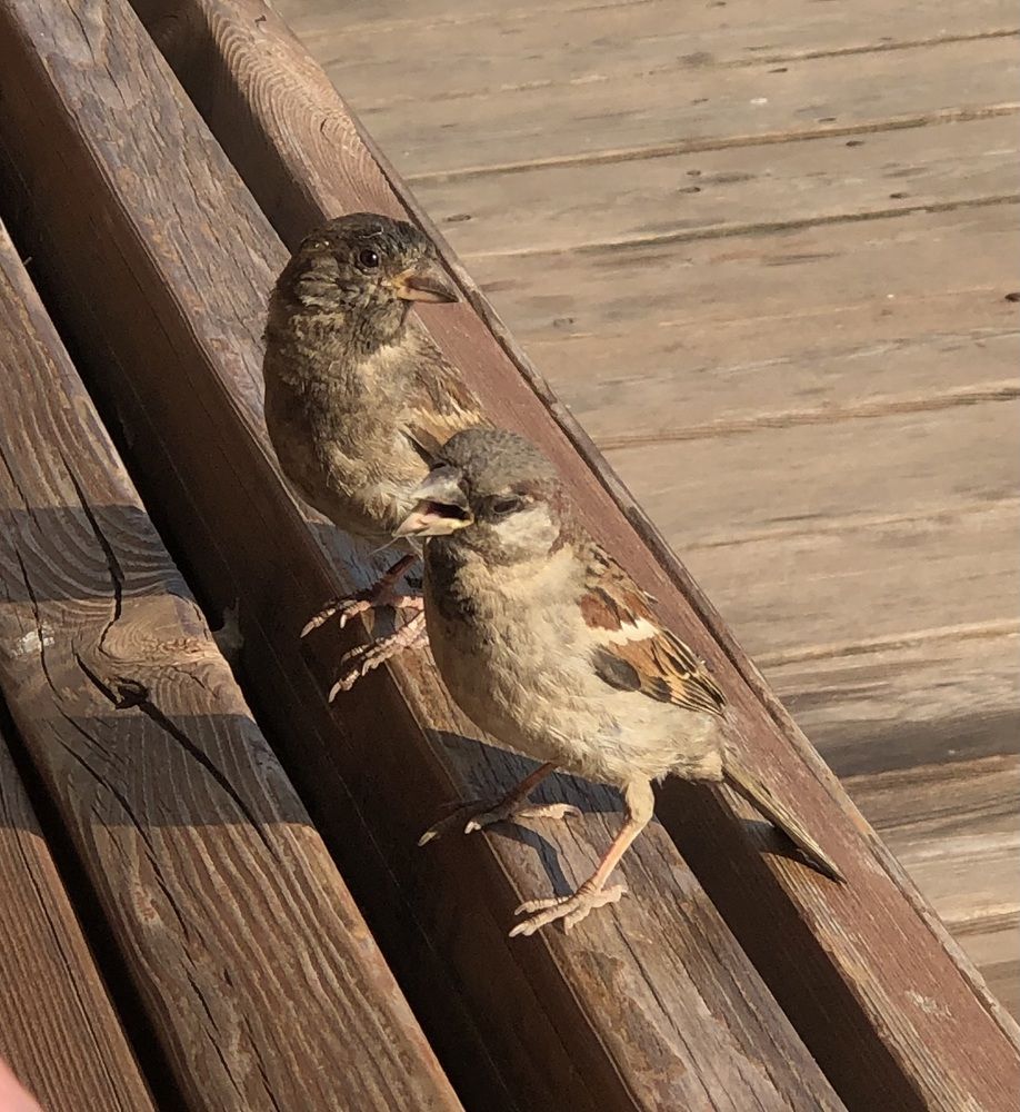 Photograph by Мария Бессмертная