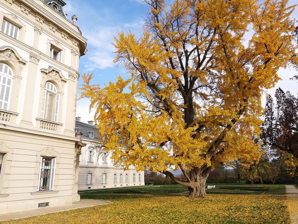 Photograph by Marina Razheva