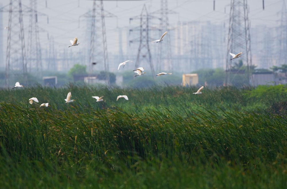 Photograph by G N RAJA