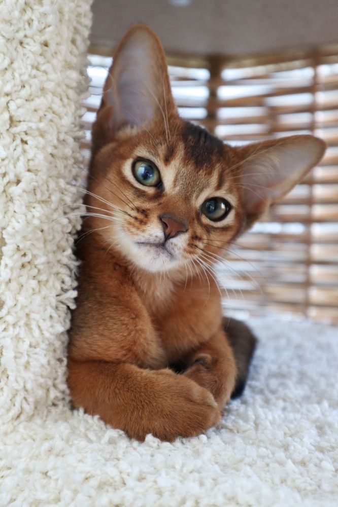 Photograph by Polina Manderson