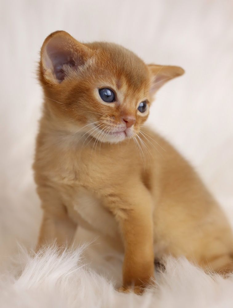 Photograph by Polina Manderson