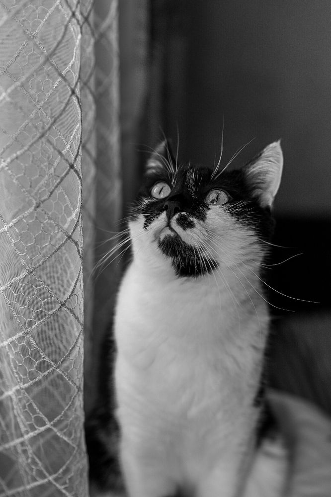 Photograph by Анна Киреенко