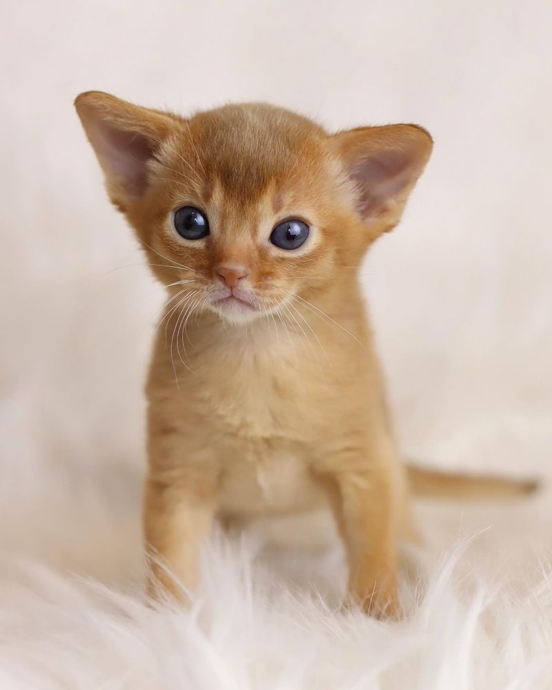 Photograph by Polina Manderson